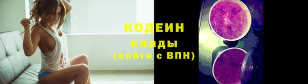 мдпв Тавда