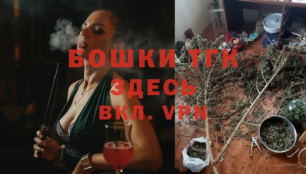 мдпв Тавда