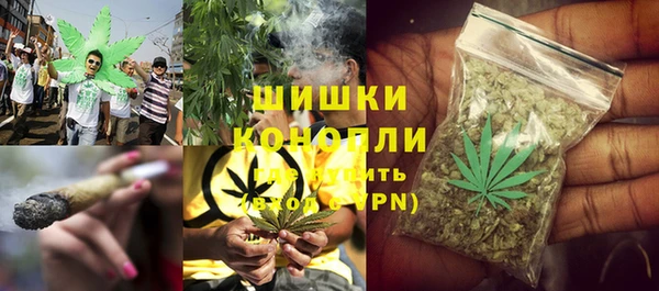 мдпв Тавда