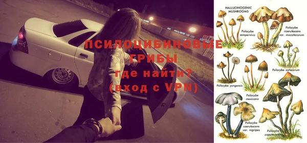 мдпв Тавда